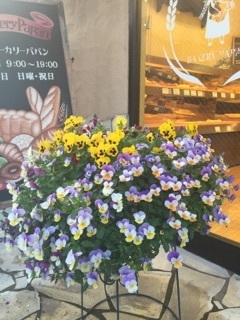 20150518-2.jpg