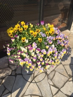 20150518.jpg