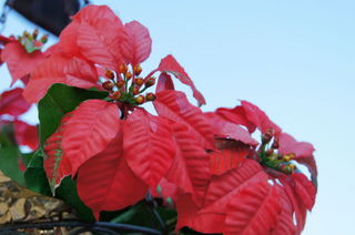DSC04481.JPG