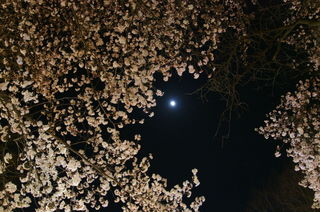 DSC06429.JPG