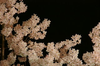 DSC06439.JPG