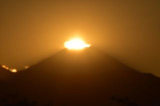 IMG_1584.JPG