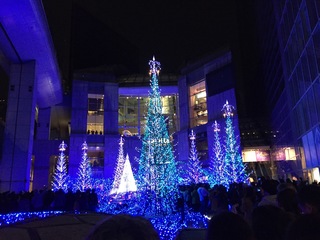 IMG_8294.JPG
